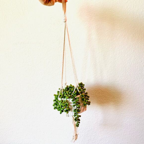 Macrame Faux Plant Planter White Ceramic Etched Pot Accent Decor String Pearls - Picture 1 of 4